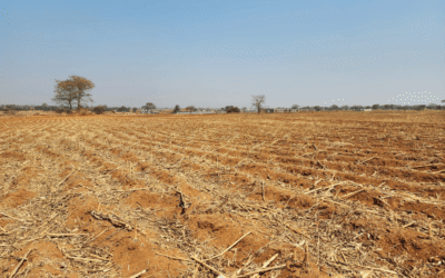 Common Mistakes First-Time Land Buyers Make in Zambia